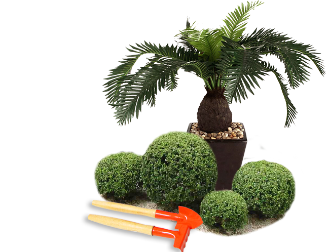Especializados em Jardinagem | Jardim do Édem