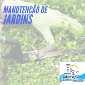 Serviços de Qualidade | SeRlimps Junior